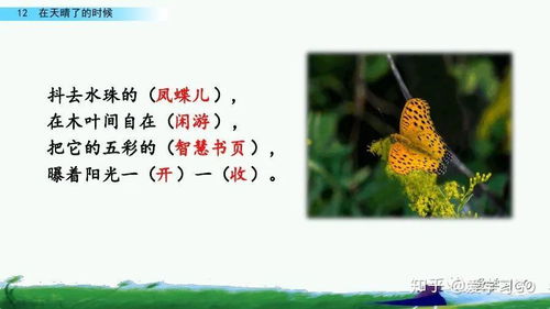 最炫的最怎么组词