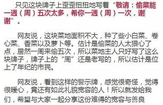 偷菜的菜怎么组词