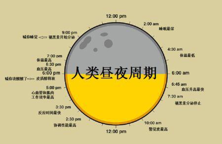 的夜怎么组词 的夜怎么组词