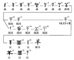 羊字怎么组词好听点