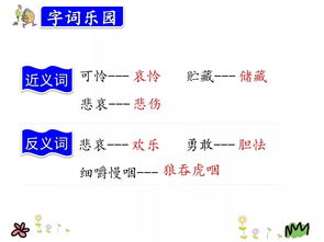 件件子怎么组词