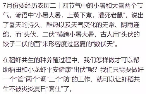 小度靖子怎么组词 小度靖子怎么组词