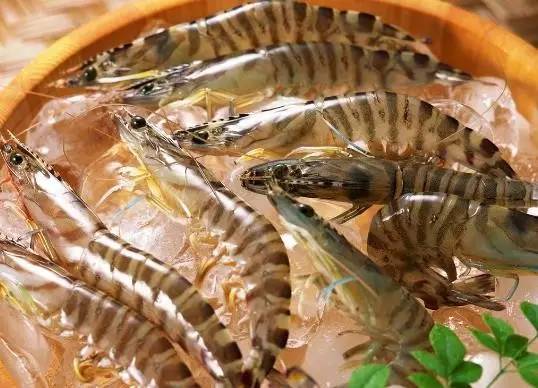 现在虾还可以怎么组词啊 现在虾还可以怎么组词啊