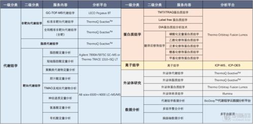 帕怎么组词