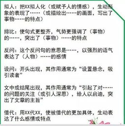 解表示琐碎怎么组词