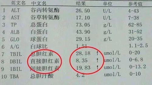 肝肝怎么组词 肝肝怎么组词