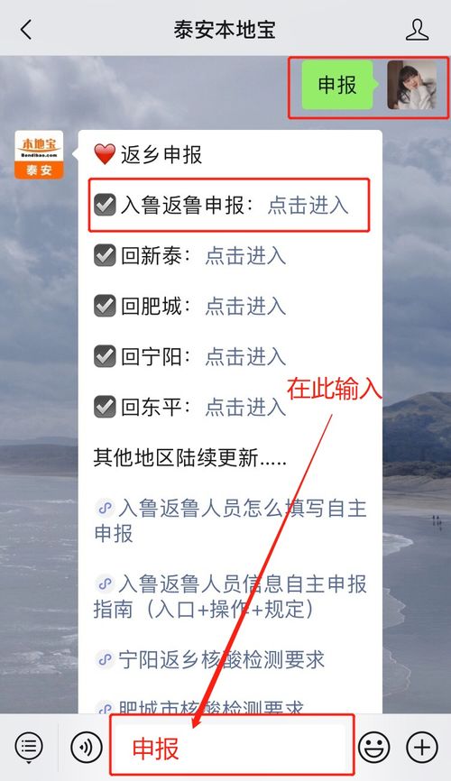 鲁鲁怎么组词 鲁鲁怎么组词