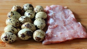 鹌鹑怎么组词 鹌鹑怎么组词