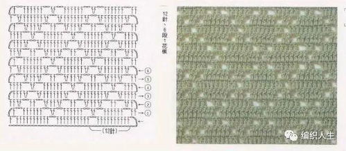 花针怎么组词 花针怎么组词
