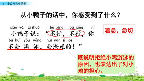 反击的鸡怎么组词