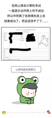 猪猪该怎么组词有趣