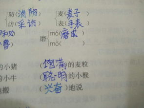 泡泡磨的泡怎么组词