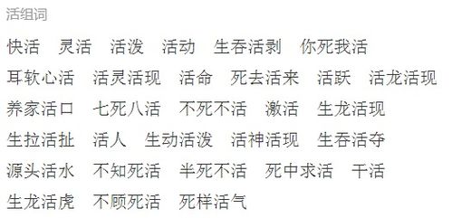 甚力怎么读组词