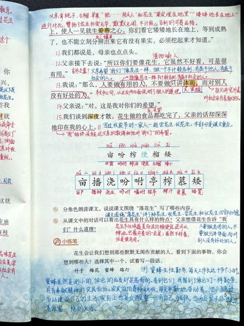 花生的生字可以怎么组词 花生的生字可以怎么组词