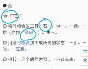 蘑菇的磨怎么组词