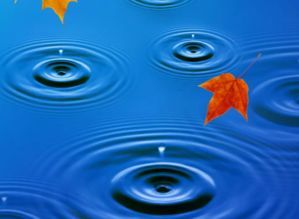 照样的漾怎么组词