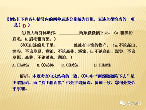 缩组词语 缩组词语