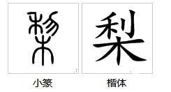 花怎么组词二字