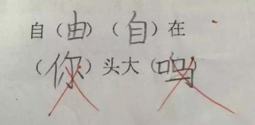 疯狂的姥怎么组词