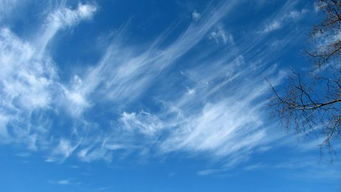 夕阳香香怎么组词