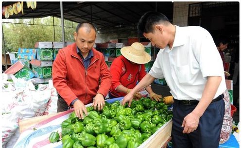 卖菜的没怎么组词