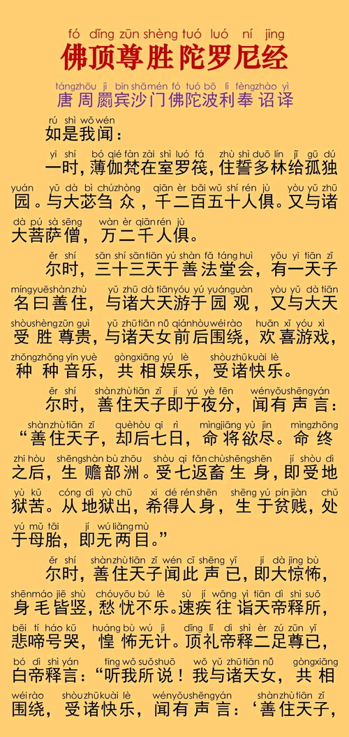 顶佛的佛怎么组词 顶佛的佛怎么组词