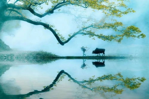 融组词加笔画拼音怎么写