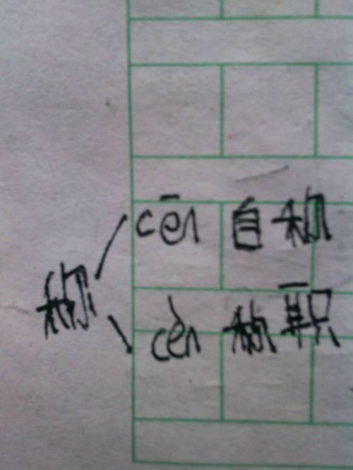 趁机那个称怎么组词