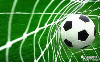 足球花的足怎么组词啊