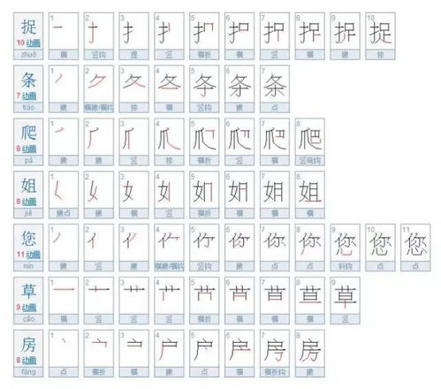 怕字笔顺和组词怎么写