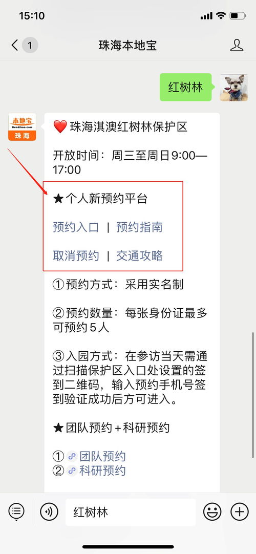 怎么用淇熠组词