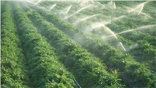 灌溉的溉组词 灌溉的溉组词