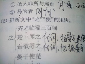 肖的读音怎么区分组词