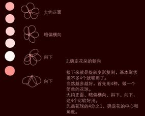 瓣怎么组词花瓣