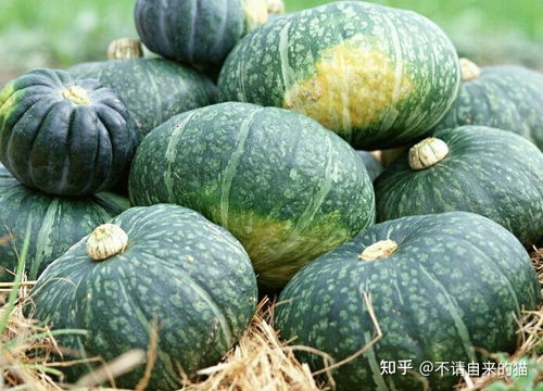 仔仔仔仔的籽怎么组词