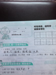 序怎么组词词