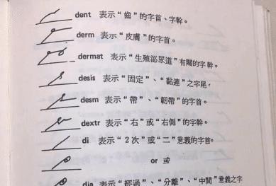 缩写的缩字怎么组词