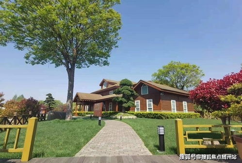 中字公司取名组词怎么写