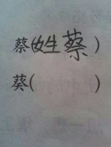 幸运葵怎么组词