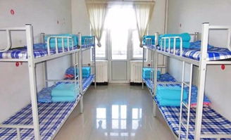 宿舍的舍友怎么组词