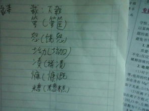 树下的字怎么组词