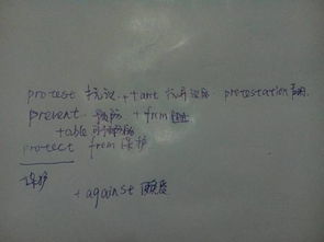 解释的释怎么组词