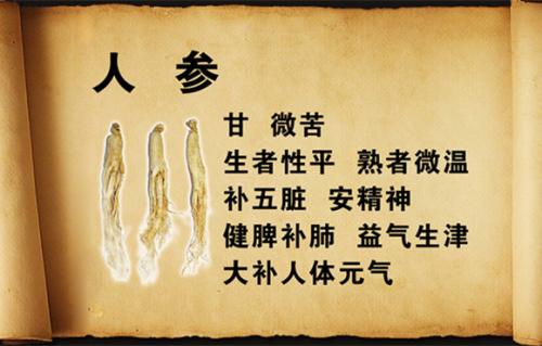 人参参怎么组词