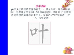 午要怎么组词 午要怎么组词