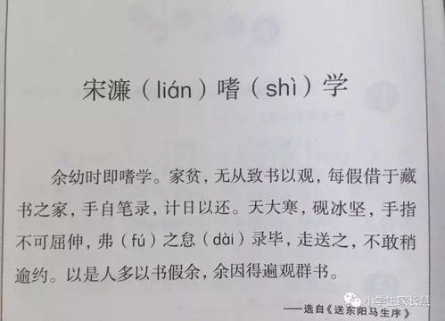 借书的借怎么写怎么组词