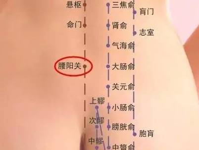 腰痛的腰字怎么组词