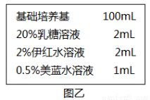 田怎么样组词 田怎么样组词
