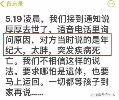 溃烂的愧怎么组词