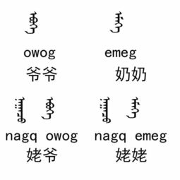 爷爷奶奶组词怎么写 爷爷奶奶组词怎么写
