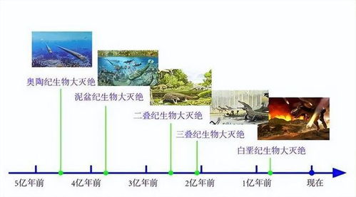 蒸笼的龙怎么组词